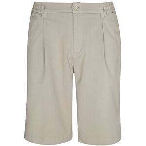 REPLAY Shorts beige 36 36 REPLAY Shorts beige 36 36
