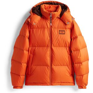 TOMMY JEANS Daunensteppjacke ALASKA orange L L TOMMY JEANS Daunensteppjacke ALASKA orange L L