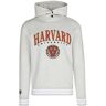 Replay Kapuzensweater - Hoodie College Harvard Grau   Herren   Größe: M   M6366 23464