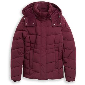 TOM TAILOR Steppjacke dunkelrot XS XS TOM TAILOR Steppjacke dunkelrot XS XS