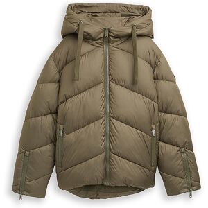 TOM TAILOR Steppjacke dunkelgrün S S TOM TAILOR Steppjacke dunkelgrün S S