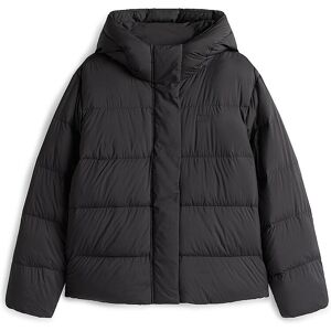 Tommy Hilfiger Steppjacke schwarz M M Tommy Hilfiger Steppjacke schwarz M M