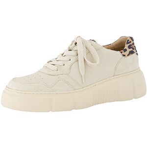 PAUL GREEN Sneaker beige 38 38 PAUL GREEN Sneaker beige 38 38
