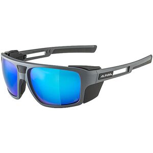 ALPINA Herren Bergbrille Skiwalsh grau EG ALPINA Herren Bergbrille Skiwalsh grau EG