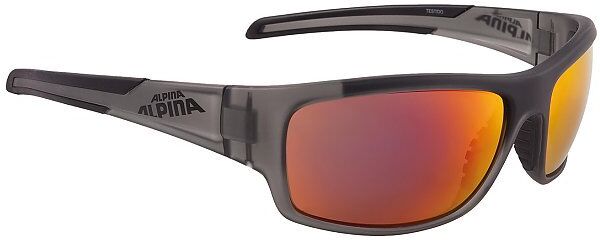 ALPINA Sportbrille Testido grau   8514 3 31 Auf Lager Unisex EG