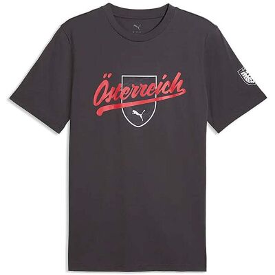 Puma Herren Fußballshirt ÖFB Culture grau S S Puma Herren Fußballshirt ÖFB Culture grau S S