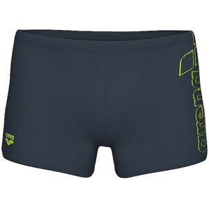 ARENA Herren Beinbadehose Scratchy grau 48 48 ARENA Herren Beinbadehose Scratchy grau 48 48