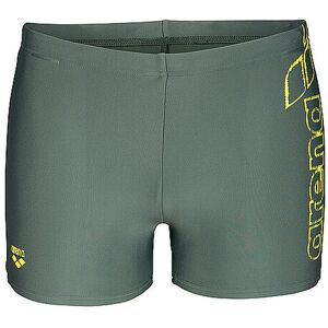 ARENA Herren Beinbadehose Scratchy dunkelgrün 48 48 ARENA Herren Beinbadehose Scratchy dunkelgrün 48 48