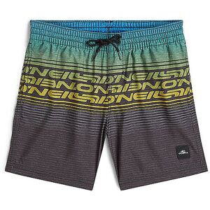 O'NEILL Jungen Badeshorts Stripe blau 128 128 O'NEILL Jungen Badeshorts Stripe blau 128 128