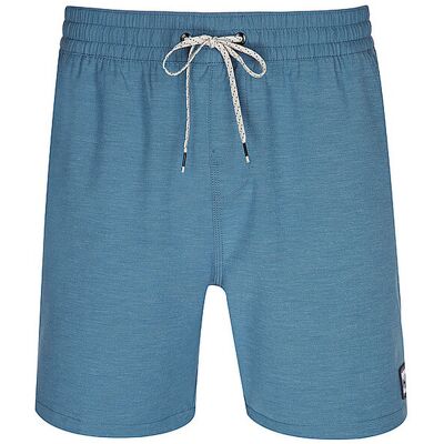 BILLABONG Herren Beachshorts Every Other Day blau M M BILLABONG Herren Beachshorts Every Other Day blau M M
