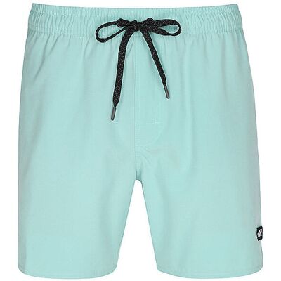 PICTURE Herren Badeshorts Piau 15 hellgrün XL XL PICTURE Herren Badeshorts Piau 15 hellgrün XL XL