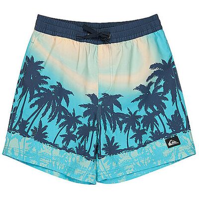 QUIKSILVER Jungen Badeshorts Everyday Printed Volley 14 bunt 134-146 134-146 QUIKSILVER Jungen Badeshorts Everyday Printed Volley 14 bunt 134-146 134-146