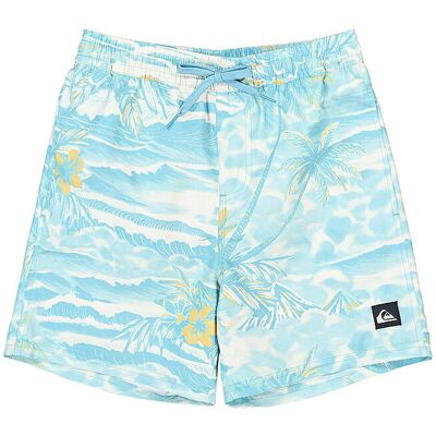 QUIKSILVER Jungen Badeshorts Everyday Printed Volley 14 hellblau 146-158 146-158 QUIKSILVER Jungen Badeshorts Everyday Printed Volley 14 hellblau 146-158 146-158