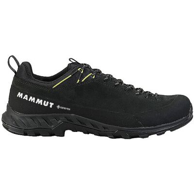 MAMMUT Herren Zustiegsschuhe Alnasca IV Low LTH GTX dunkelgrün 42 42 MAMMUT Herren Zustiegsschuhe Alnasca IV Low LTH GTX dunkelgrün 42 42