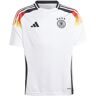 Adidas Kinder Heimtrikot Deutschland EM 2024 weiss   Größe: 152   IP6130 Auf Lager Unisex 152