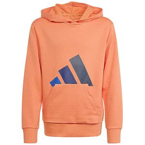 Adidas Kinder Hoodie Essentials orange 176 176 Adidas Kinder Hoodie Essentials orange 176 176