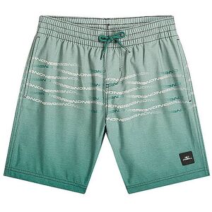 O'NEILL Jungen Badeshorts First hellgrün 152 152 O'NEILL Jungen Badeshorts First hellgrün 152 152