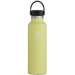 HYDRO FLASK Trinkflasche Hydration 21 oz (620ml) grün   1009416 Auf Lager Unisex EG