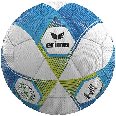 ERIMA Trainingsball Hybrid Lite 290 bunt EG ERIMA Trainingsball Hybrid Lite 290 bunt EG