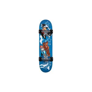 AREA Kinder Skateboard Rocket Dog bunt   2401-20 Auf Lager Unisex EG