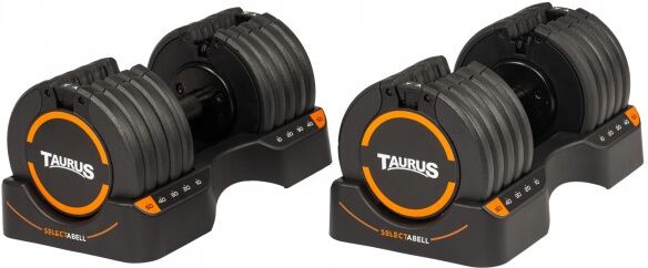 Taurus Hantel Selectabell 2 Hanteln