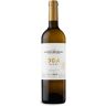 Castell del Remei Oda Blanc 2021 - 75cl