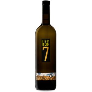 Bodegas Itsasmendi Txakoli Itsas Mendi 7 75cl - Weißwein Bodegas Itsasmendi Txakoli Itsas Mendi 7 75cl - Weißwein