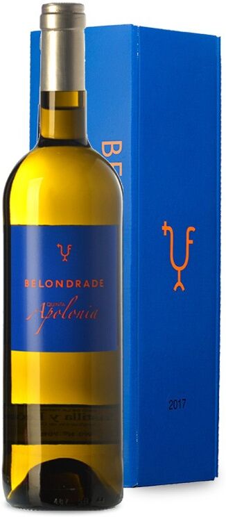 Belondrade y Lurtón Quinta Apolonia Magnum estuchado Geschenk