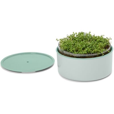 Tchibo - Anzucht-Set »Microgreens« - grau Tchibo - Anzucht-Set »Microgreens« - grau