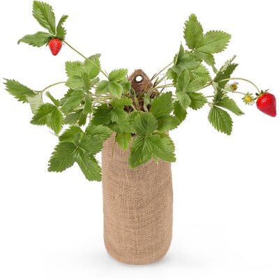 Tchibo - Hängender Erdbeer-Garten - mehrfarbig Tchibo - Hängender Erdbeer-Garten - mehrfarbig