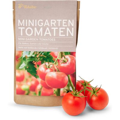 Tchibo - Minigarten in der Papiertüte - mehrfarbig Tchibo - Minigarten in der Papiertüte - mehrfarbig
