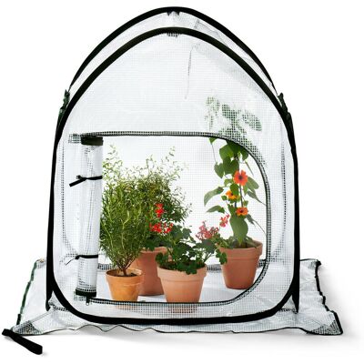 Tchibo - Kleines Pop-up-Pflanzenschutz-Zelt - 80x80x95cm - dunkelgrün - Fiberglas / Polyethylen / Polyester Tchibo - Kleines Pop-up-Pflanzenschutz-Zelt - 80x80x95cm - dunkelgrün - Fiberglas / Polyethylen / Polyester