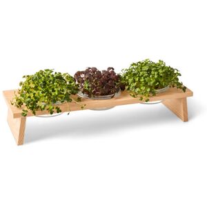 3er-Microgreens-Bank - Tchibo - Naturfarben Holz Bank  unisex