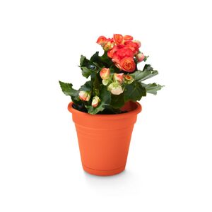 Blumentopf mit Balkonaufhängung - Tchibo - Terrakotta Kunststoff   unisex