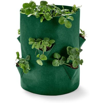 Tchibo - Erdbeeren-Pflanztasche - grün Tchibo - Erdbeeren-Pflanztasche - grün