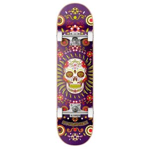 Hydroponic Mexican Skateboard Komplettboard (Purple Skull)