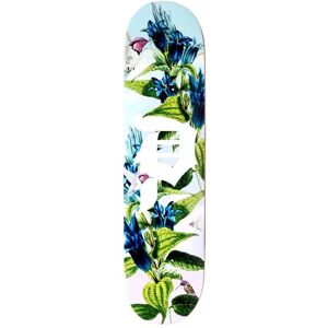 Dstreet MALIBU Weiß Damen-Set - Sportbekleidung Dstreet MALIBU Weiß Damen-Set - Sportbekleidung