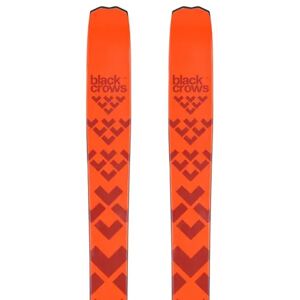 Black Crows Nocta Freeride Ski (Orange)