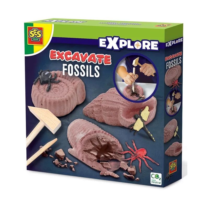 Creative Explore – Excavate Fossile