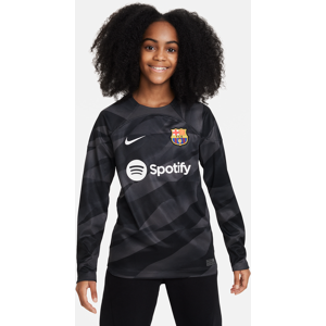 FC Barcelona 2023/24 Stadium GoalkeeperNike Dri-FIT Fußballtrikot für ältere Kinder - Grau - M