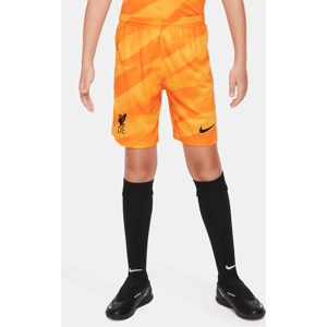 Liverpool FC 2023/24 Stadium Goalkeeper Nike Dri-FIT Fußball-Shorts für ältere Kinder - Gelb - XL