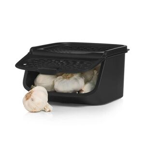 Tupperware GarlicSmart Frischhaltebehälter für Knoblauch