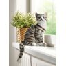 Katze von Hand bemalt -