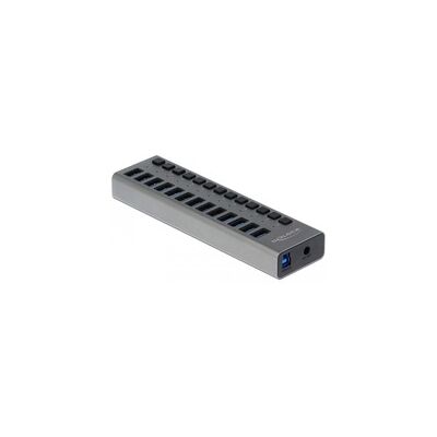 Delock Externer SuperSpeed USB Hub mit 13 Ports + Schalter, USB-Hub Delock Externer SuperSpeed USB Hub mit 13 Ports + Schalter, USB-Hub