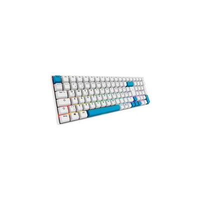 Sharkoon SKILLER SGK50 S2 PBT, Gaming-Tastatur Sharkoon SKILLER SGK50 S2 PBT, Gaming-Tastatur