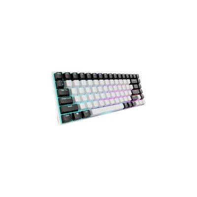 Sharkoon SKILLER SGK50 S3, Gaming-Tastatur Sharkoon SKILLER SGK50 S3, Gaming-Tastatur