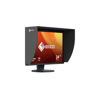 Eizo CG2400SV, Public Display Eizo CG2400SV, Public Display