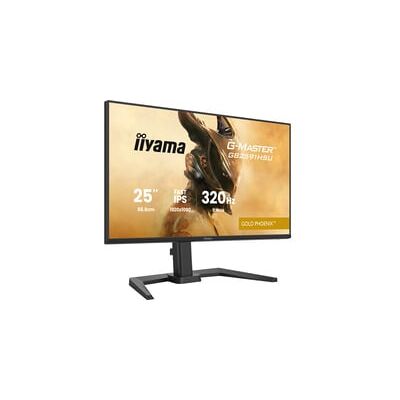 Iiyama G-MASTER GB2591HSU-B1, Gaming-Monitor Iiyama G-MASTER GB2591HSU-B1, Gaming-Monitor