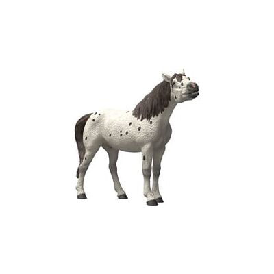 Schleich Horse Club Knabstrupper Wallach, Spielfigur Schleich Horse Club Knabstrupper Wallach, Spielfigur