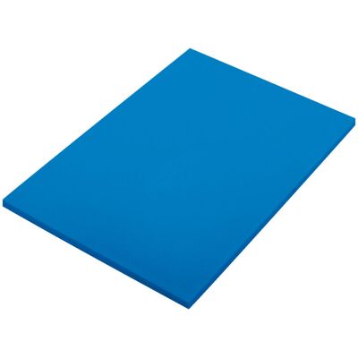 VEGA Schneidebrett Separa S; 40x30x2 cm (LxBxH); blau VEGA Schneidebrett Separa S; 40x30x2 cm (LxBxH); blau